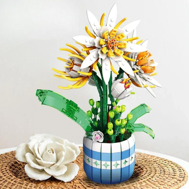 Epiphyllum Yapı Seti