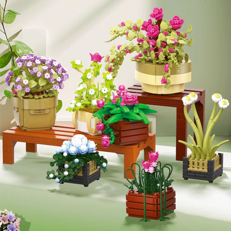 BAKA Cymbidium Saksı Bitkisi