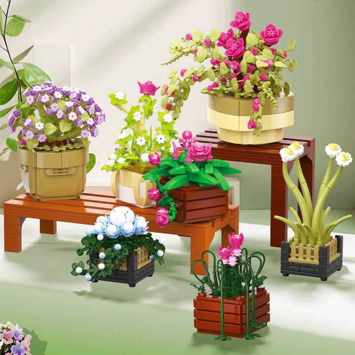 BAKA Cymbidium Saksı Bitkisi