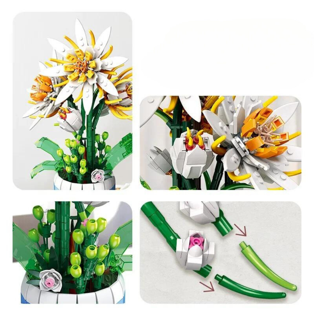 Epiphyllum Yapı Seti