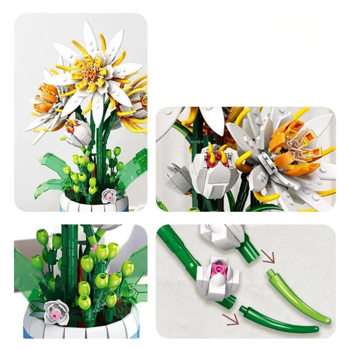 Epiphyllum Yapı Seti