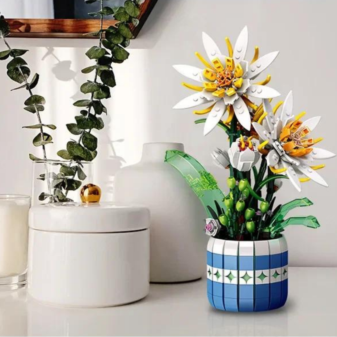 Epiphyllum Yapı Seti