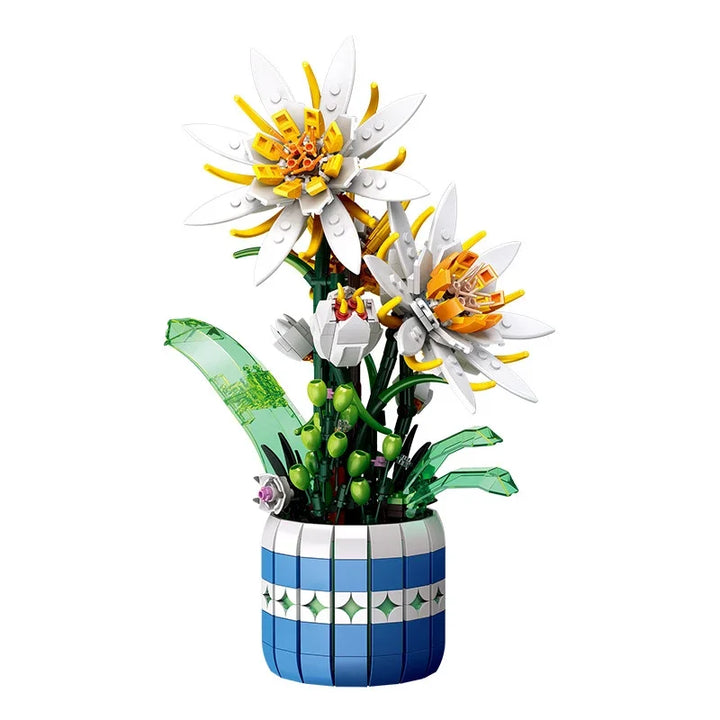 Epiphyllum Yapı Seti